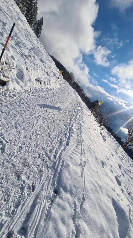 Gasthof Wimbachklamm ラムサウ エクステリア 写真