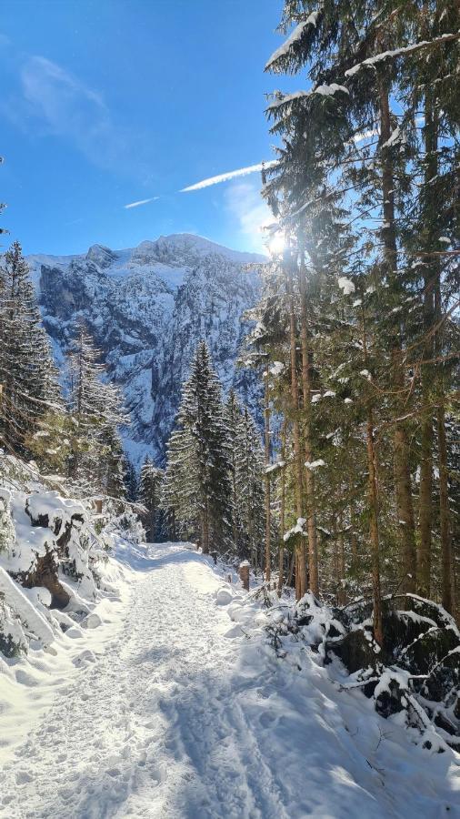 Gasthof Wimbachklamm ラムサウ エクステリア 写真